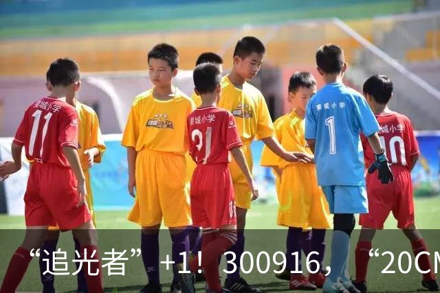 “追光者”+1！300916，“20CM”涨停