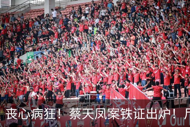 丧心病狂！蔡天凤案铁证出炉！尸体装俩箱子，躯干双手至今无踪影
