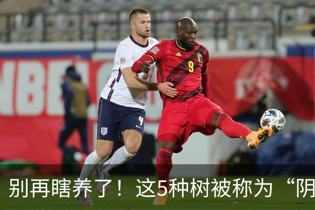 别再瞎养了！这5种树被称为“阴树”，再喜欢也别搬进家，看完赶紧搬出去