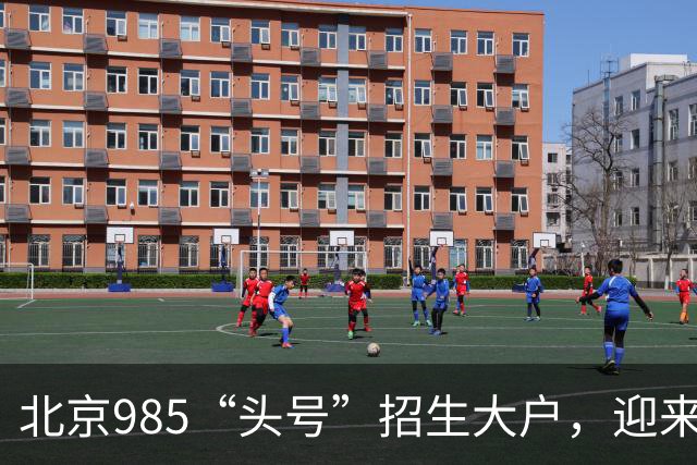 北京985“头号”招生大户，迎来新任副校长