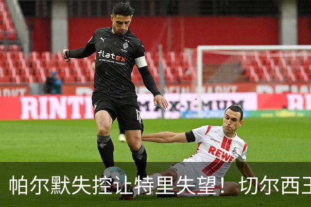 帕尔默失控让特里失望！切尔西王牌中了热刺圈套，争冠球队不能输在情绪上