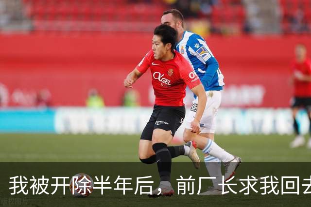 我被开除半年后，前厂长求我回去调试7000万的设备，我直接开价170万，他拿着电话，半天没说出话来