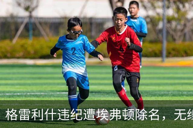 格雷利什违纪遭埃弗顿除名，无缘联赛杯战纽卡