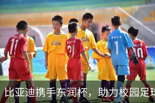 比亚迪携手东润杯，助力校园足球少年圆梦工体