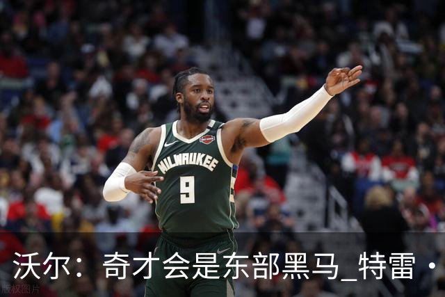 沃尔：奇才会是东部黑马 特雷·杨和浓眉有实力关键看健康