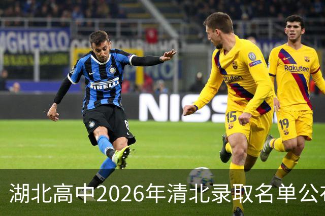 湖北高中2026年清北录取名单公布
