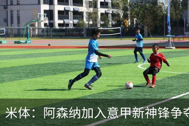 米体：阿森纳加入意甲新神锋争夺！阿尔特塔确认拉亚不会离队！