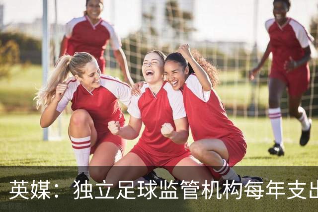 英媒：独立足球监管机构每年支出达2000万镑，英超俱乐部要出大头
