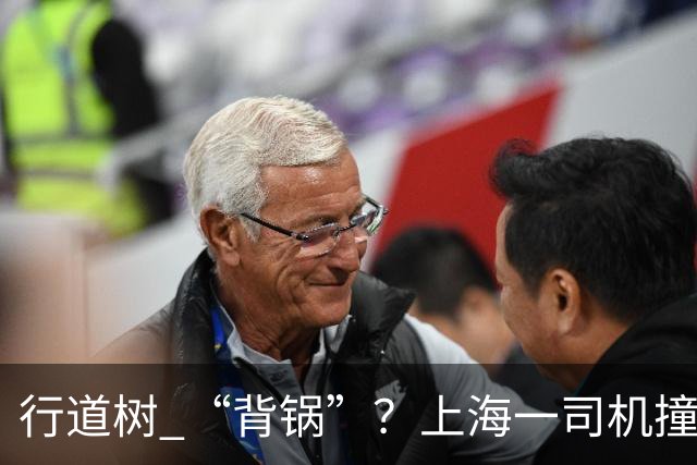 行道树 “背锅”？上海一司机撞树后主张树木全责，结果来了