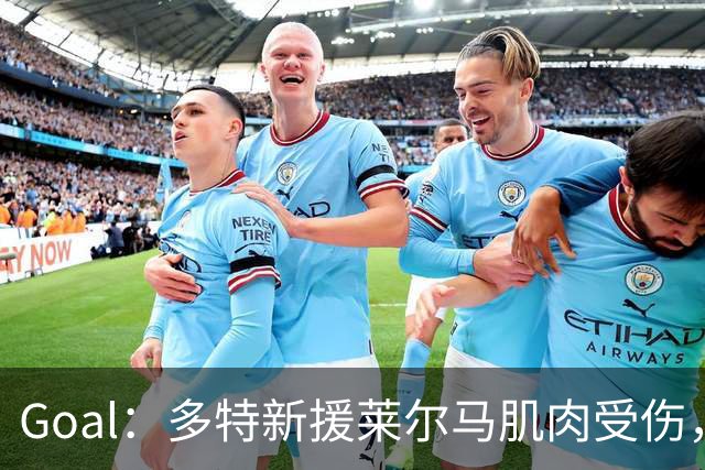 Goal：多特新援莱尔马肌肉受伤，复出时间未定
